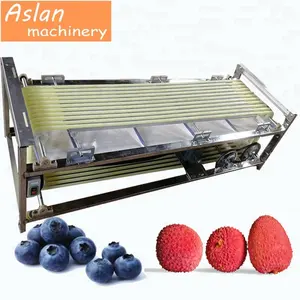 Lychee size sorter / Blueberry sorting machine by size / fruit grader machine