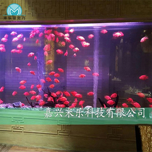 2023 Groothandel Nieuwe Aankomst Kleurrijke Hoogwaardige <span class=keywords><strong>Aquarium</strong></span> Kunstmatige Kwallen <span class=keywords><strong>Aquarium</strong></span> - Product Image 4