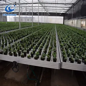 Greenhouse Table Ebb And Flow Tables Growing Greenhouse Benches Hydroponic Flood Tray