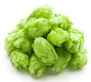 100% ธรรมชาติ Hops สารสกัดจากดอกไม้