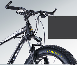 Fabricante de Bicicletas Fatbike de Alta Calidad Más Vendidas en 2021, Fábrica Experimentada que Suministra Bicicletas con Llantas Gruesas - Product Image 4
