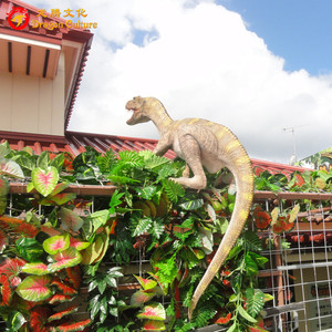 Personalizado dinosaurio de <span class=keywords><strong>La</strong></span> <span class=keywords><strong>Selva</strong></span> <span class=keywords><strong>restaurante</strong></span> deinonychus natural dinosaurio modelo - Product Image 4