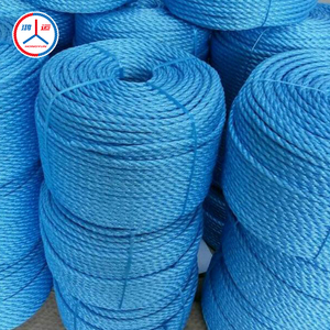 Drawrope 6ミリメートルBlue <span class=keywords><strong>Polypropylene</strong></span> <span class=keywords><strong>Rope</strong></span> - Product Image 1