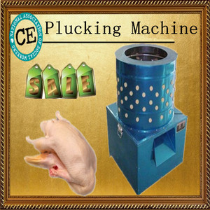 2014 meilleur marché et plus récents CE approuvé automatique Commercial <span class=keywords><strong>plumeuse</strong></span> de poulet (EW-50) A vendre - Product Image 1