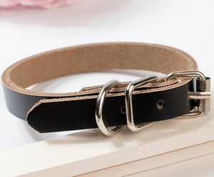 Kerah Anjing Kulit Asli Lembut Logo Laser Terukir Kualitas Tinggi - Product Image 3