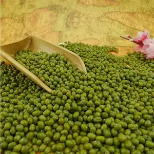 3,8mm Green Mung Bean Mung Beans Sprout Uso a la venta