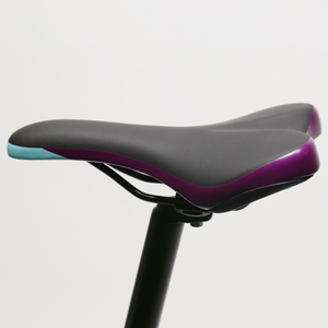 Txed giá rẻ Hidden pin xe đạp leo núi Điện Trung Quốc 29 inch E Xe Đạp MTB - Product Image 6