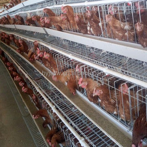 Gabbie a Batteria Tipo Piramide per Allevamento di Polli per la Produzione di <span class=keywords><strong>Uova</strong></span> Gabbie per Animali Durevoli - Product Image 2