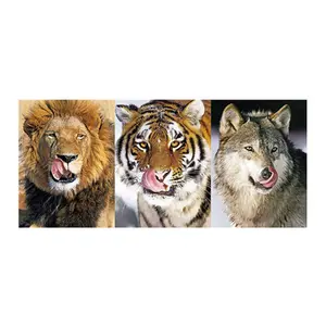 Mẫu Miễn Phí Lion Thiết Kế 3d Hình Ảnh Của Động Vật 3d Lenticular Hình Ảnh