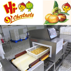 Chine Vente en gros en vrac de châtaignes crues pelées surgelées biologiques de qualité A - Product Image 4