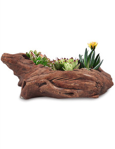 Groothandel <span class=keywords><strong>Aquarium</strong></span> Plant Pot Drijfhout Kom Voor Bloemenplant - Product Image 4