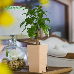 Gros décoratif tout-en-un ensemble comme <span class=keywords><strong>lechuza</strong></span> intérieur jardin pots et jardinières - Product Image 1