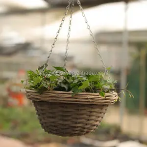 Pots de plantes écologiques avec suspendus, paniers en osier pour plantes d'intérieur