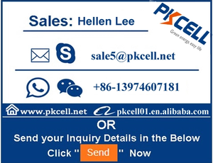 鉛酸6v4.5ah20時間充電式バッテリーを密封したトップ10の販売製品 - Product Image 6