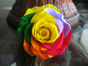 HFlora Vente en gros Têtes <span class=keywords><strong>de</strong></span> roses éternelles colorées en forme <span class=keywords><strong>de</strong></span> cœur - Longue durée <span class=keywords><strong>de</strong></span> vie (3-5 ans) Couleurs personnalisables pour Noël - Product Image 5