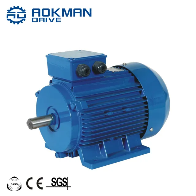 Motor Industri 0.18-630kw Motor Listrik Tiga Fase Motor Kompak Tipe Asinkron Motor AC 380V