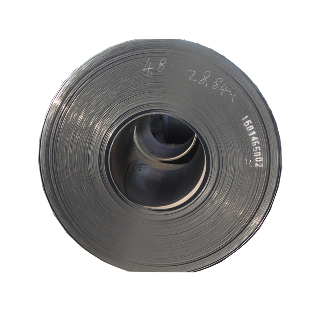 Цена катушки стальной ленты P265NB