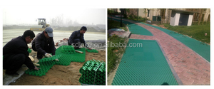 بلاطات عشب بلاستيكية، بلاطات ممرات السيارات البلاستيكية، شبكة العشب - Product Image 6