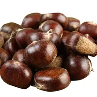 Fresh Organic Chestnut, New Crop, Best Chinese