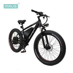 48v 1000w 전기 자전거 직접 드라이브 fatbike 허브 모터 - Product Image 2
