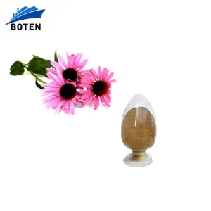 medicinal herb echinacea purpurea raw powder extract herb supplier