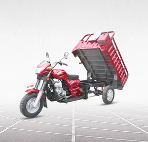 200cc water cooling KAVAKI 3 wheel cargo tricycle/cargo electric tricycle/tricycle food cart sale to Uzbekistan