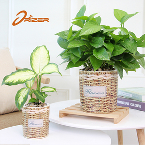 El más barato maceta <span class=keywords><strong>de</strong></span> plástico maceta, patrón <span class=keywords><strong>de</strong></span> mimbre jardín maceta <span class=keywords><strong>de</strong></span> interior y al aire libre - Product Image 1