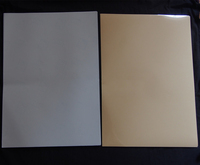 Papier de transfert laser pour tatouages temporaires format A4, 100 sets, pour tatouages temporaires DIY, art corporel, tatouages flash pour la peau ou les ongles