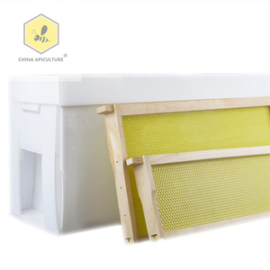 Beekeeping equipment from China corflute beehive 100% PP polystyrene plastic hive nuc box