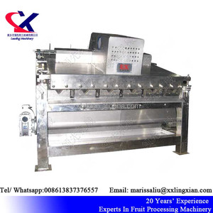 Equipamentos de Processamento De Suco De frutas Em Grande Escala <span class=keywords><strong>3</strong></span> t/h Linha de Processamento de Suco De Lichia - Product Image 5