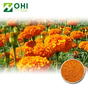 Ekstrak Marigold Marigold Oleoresin/Ekstrak Lutein Alami Ekstraktor Xanthopll dari Marigold