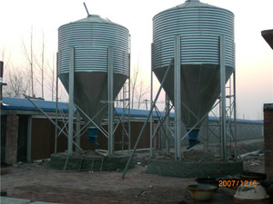 Poultry equipment proveedor en China , automático de pollos de engorde pollo forraje sistema - Product Image 4