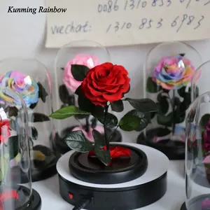 Commercio all'ingrosso Red Reale Naturale eternity Rose fiore Conservato in cupola di vetro da Kunming Arcobaleno