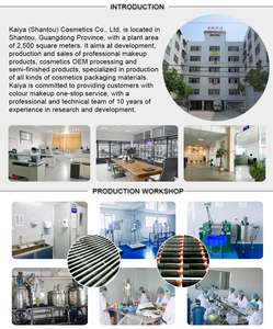 Meilleur fournisseur professionnel en gros base de coussin compact Maquillage Cosmétique D'OEM Imperméable <span class=keywords><strong>BB</strong></span> <span class=keywords><strong>Crème</strong></span> - Product Image 6