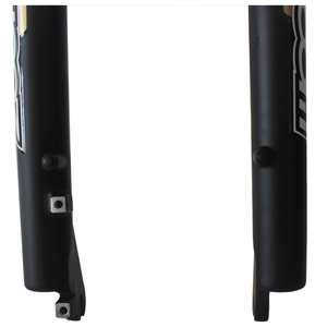 Sản xuất tại Trung Quốc Fat Bike Ngã Ba hệ thống treo ngã ba của 20 "phía trước ngã ba - Product Image 3