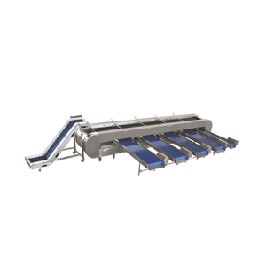 Máquina clasificadora de fruteros grandes para MANGO, fruta de dragón, <span class=keywords><strong>piña</strong></span>, sandía - Product Image 4