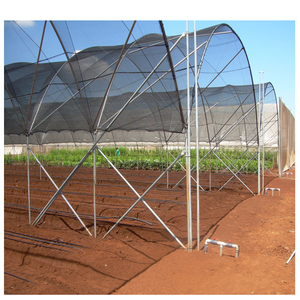 بيت زجاجي متعدد الأنفاق عالي الجودة لزراعة التوت الأزرق - Product Image 4