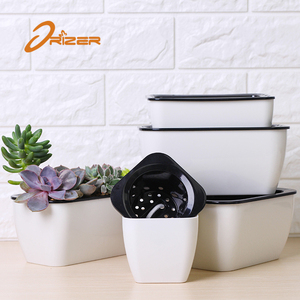 2018 mejor envío muestra plástico macetas para <span class=keywords><strong>plantas</strong></span> de vivero para planta suculenta - Product Image 3