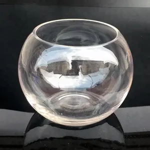 Оптовая продажа, выдувная креативная прозрачная стеклянная ваза для гидропоники, аквариум для домашнего декора