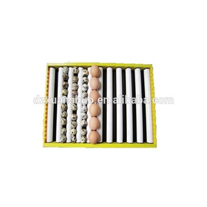 Top-vente 60 incubateur de poulet utilisé en plastique plateau d'oeufs d'incubateur avec l'annee dernière conception - Product Image 3