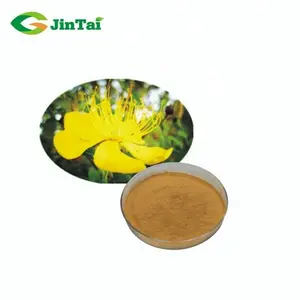 St. John's Wort Extract Powder Hypericin 0.3 Hyperforin 3%