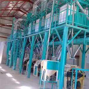 50TPD fufu máy/đức grain mill/bột máy móc nhà máy