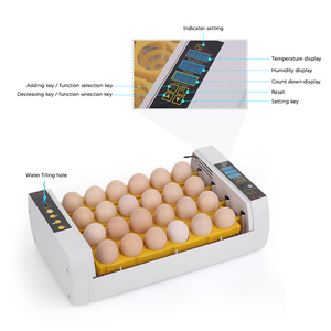 Machine d'incubation de haute qualité pour œufs de <span class=keywords><strong>perroquet</strong></span> ara, incubateurs pour éclosion d'œufs - Product Image 3