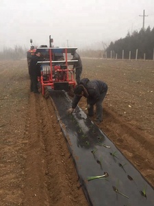 Transplanteur de plants de légumes autopropulsé à 2 rangs / Machine de transplantation Bacco - Product Image 5