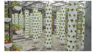 <span class=keywords><strong>Tour</strong></span> de plantation de fruits de fraises hydroponiques aéroponiques à colonne verticale - Product Image 6