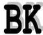 Fujian Quanzhou Best King Import & Export Co., Ltd. logo
