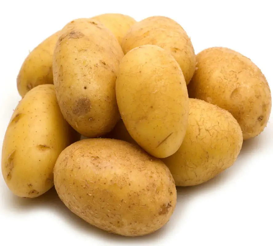 Nuova patata fresca del bangladesh Exportable al 100% per patatine fritte