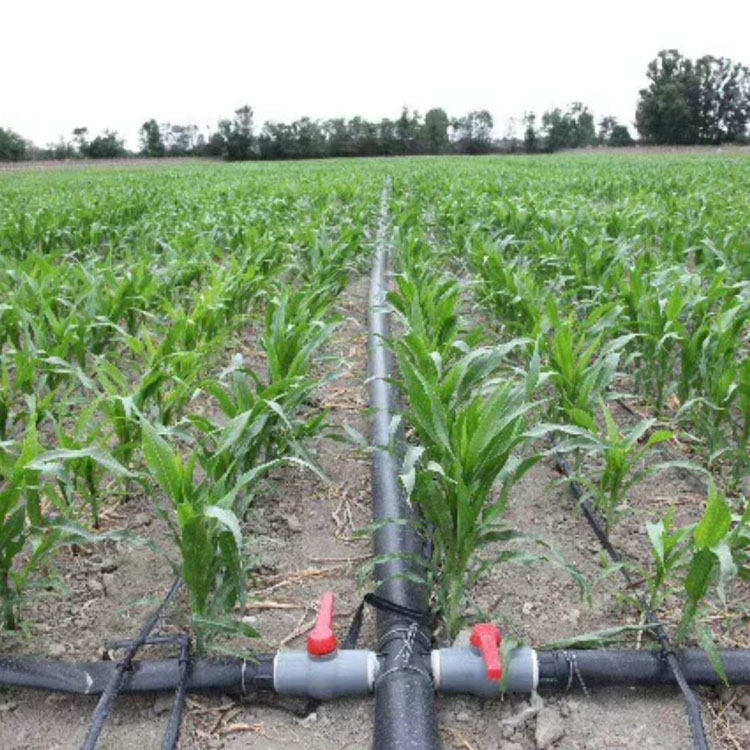 Agricultura Greenhouse Drip Pipe para Irrigação Sistema