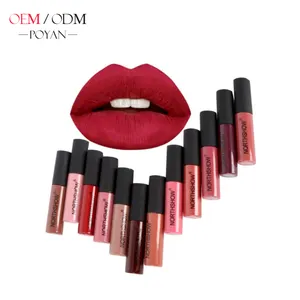 Groothandel Custom 12 Kleur Merk Matte Vloeibare Lipstick