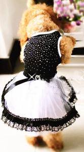 Ropa de perro de boda negra de lujo elegante en existencia perro chica sexy - Product Image 5
